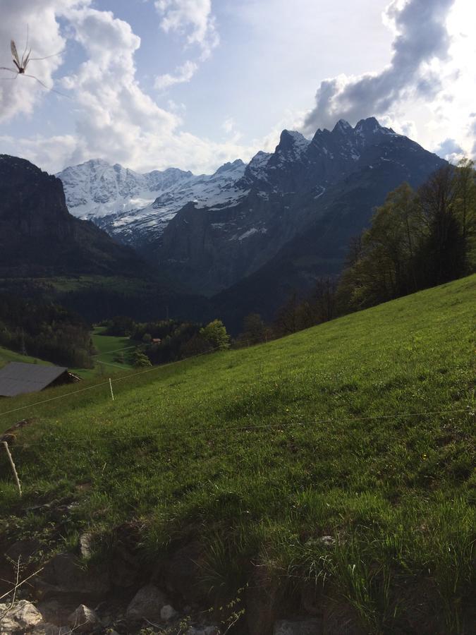 "Terrasse" Nessental Hotel Gadmen Exterior photo