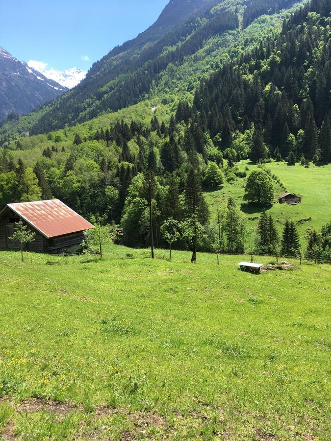 "Terrasse" Nessental Hotel Gadmen Exterior photo